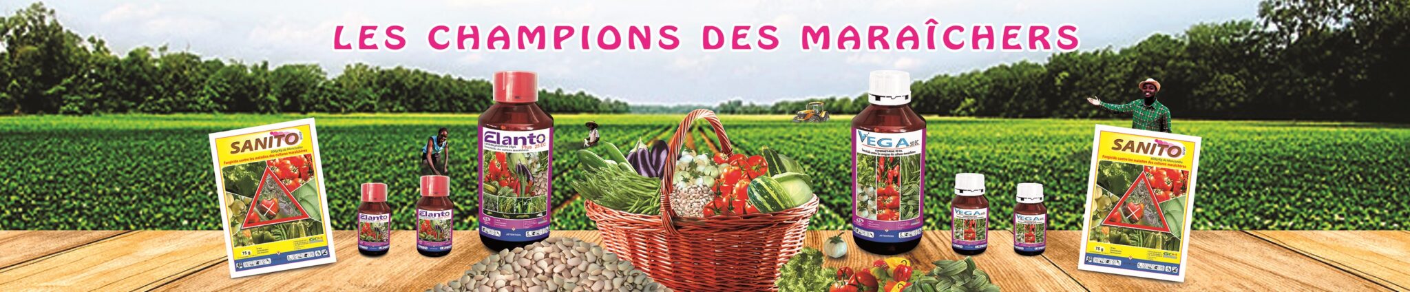 Maraîcher Pick Up